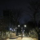 만보걷기(3월 24일) 이미지