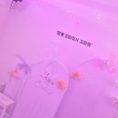 생일은 특별하게! 모두가 만족한 수원파티룸 파티플레이스공감동 후기 🎂