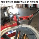 거북이카센터 이미지