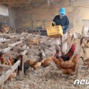 이종현농장 이미지