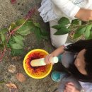 대장나무숲놀이터 이미지