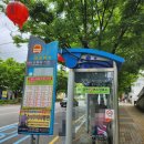 백양산체육공원 | 05/11, 백양산 애진봉에 예쁜 철쭉 없으면 어때서?