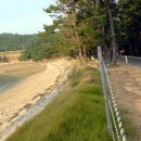 보행자전용도로 이미지