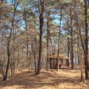 원수산 누리길 이미지