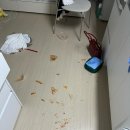 김나현 일상 : 운동 출근 퇴근 운동 먹기 (정동문화사, 홈베이킹, 부산, 베란다치즈, 더정, 스타벅스...