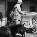 플레져 가든(PLEASURE GARDEN) 이미지