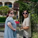 선샤인 피티샵 이미지