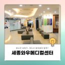 세종보청기 - 논산시 중앙로 470 | 세종보청기