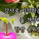 오나가나 Daum카페