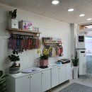 몽개몽개 애견미용실 이미지