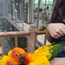 경주버드파크 이미지