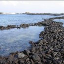 제주 토끼섬 문주란자생지 이미지