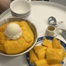 토토김밥 | 필리핀 보홀 3박 5일 여행 첫째날, 둘째날_면세한도, 아모리타 리조트, 레드크랩, 반딧불이, 토토에페피노