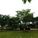 시민근린공원 건너편 이미지