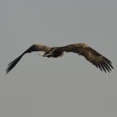 006-문산-006 이미지