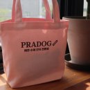 프라독 쿡 이미지