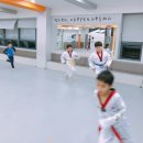 솔빛태권스쿨 네이버블로그