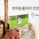 좋은장례