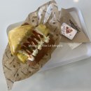 에그 셀런트 이미지