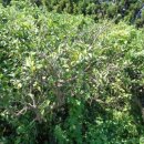 강정동-1 이미지