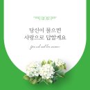 디자인 홍인 네이버블로그