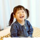 꼬메벨로 이미지