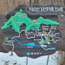 수레의산자연휴양림 이미지