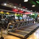 포레스트 다이어트 이미지