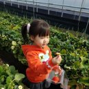 대신주말농장 정보화마을 이미지