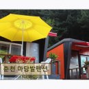 춘천마당발펜션 네이버블로그