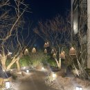 홈플러스송탄점 | 평택 핫플 대형카페 토지 방문 주말 놀거리 평택 명소 국내 여행지 추천