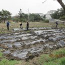 철정농장 이미지