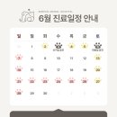 미소동물병원 네이버블로그