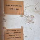 탐광