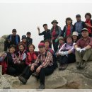 부흥한증막 이미지