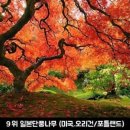한국초월명상원 이미지