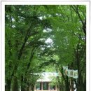 꽃빛바느질 이미지