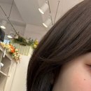 아델라(ADELA)헤어