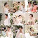 결혼준비 | 가성비 본식DVD / 코지레코드 내돈내산 계약 후기/ 스타시티본식dvd / 짝꿍코드 / 할인받는...