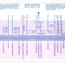 2031년 사탄통치 마치는 해라고 주장한 배포자료 이미지