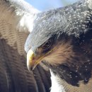 ACE컨설팅&행정사사무소 이미지