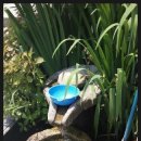 고바우펜션 이미지