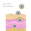 더말코드(DERMALCODE) 이미지