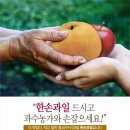 365과일 이미지