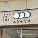 오동도 | 오동동김밥, 여수 엑스포역 근처 오동도 맛집 갓김치김밥 후기