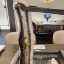 장보고장어 | 동탄 장어 맛집 청담장어마켓 동탄점 국내산 자포니카 장어의 진수