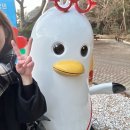 광장로24번길 | [부산] 25년 1월 내일로여행: 뚜벅이 혼자 여행 후기 마지막편 부산 2박3일
