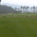 베네치아컨트리클럽 이미지