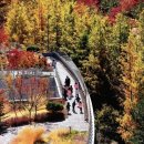 서울숲리버뷰자이 단지내 조경 - 서리자 공원 실거주 후기