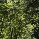 조계산 도립공원 선암사 주차장 화장실 이미지